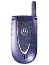 Best available price of Motorola V66i in Cyprus